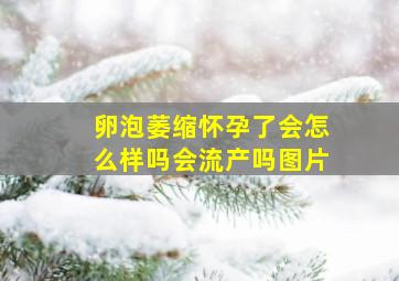 卵泡萎缩怀孕了会怎么样吗会流产吗图片