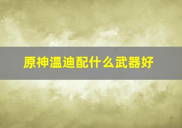 原神温迪配什么武器好