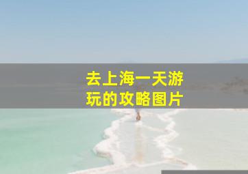 去上海一天游玩的攻略图片