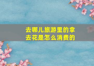 去哪儿旅游里的拿去花是怎么消费的