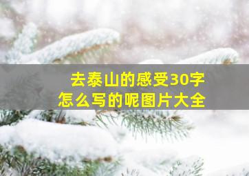 去泰山的感受30字怎么写的呢图片大全