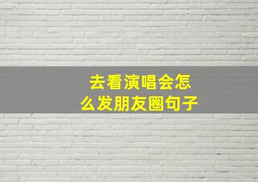 去看演唱会怎么发朋友圈句子