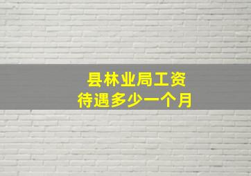 县林业局工资待遇多少一个月