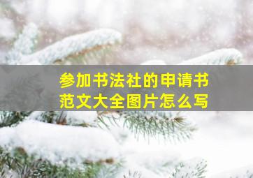 参加书法社的申请书范文大全图片怎么写