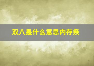 双八是什么意思内存条