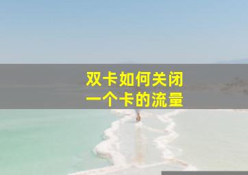 双卡如何关闭一个卡的流量