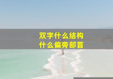 双字什么结构什么偏旁部首