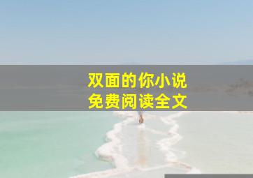 双面的你小说免费阅读全文