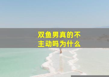 双鱼男真的不主动吗为什么