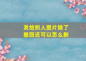 发给别人图片除了撤回还可以怎么删