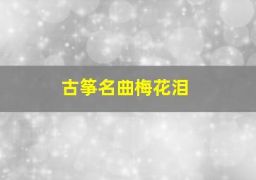 古筝名曲梅花泪