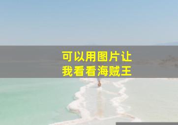 可以用图片让我看看海贼王