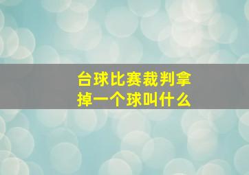 台球比赛裁判拿掉一个球叫什么