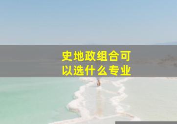 史地政组合可以选什么专业