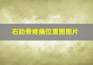 右肋骨疼痛位置图图片