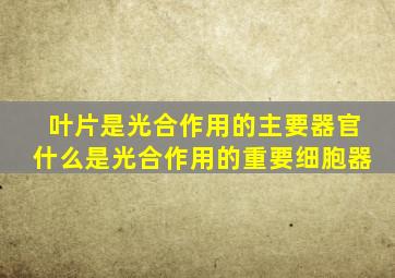 叶片是光合作用的主要器官什么是光合作用的重要细胞器