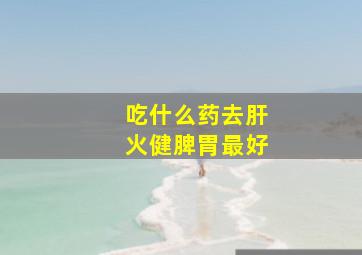 吃什么药去肝火健脾胃最好