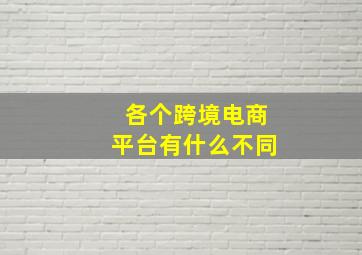 各个跨境电商平台有什么不同