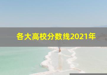 各大高校分数线2021年