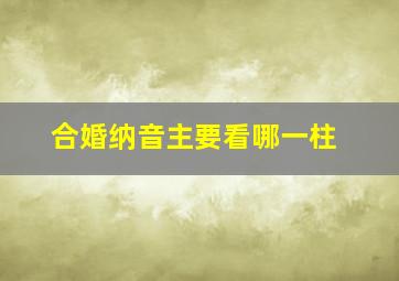 合婚纳音主要看哪一柱