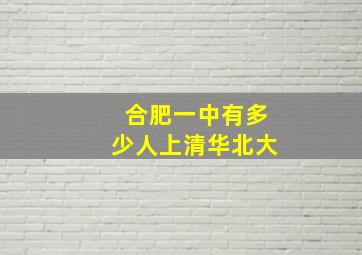 合肥一中有多少人上清华北大