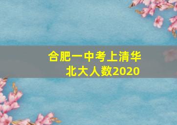 合肥一中考上清华北大人数2020