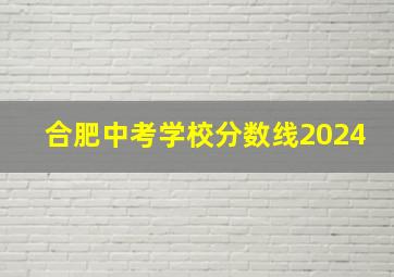 合肥中考学校分数线2024