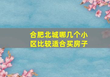 合肥北城哪几个小区比较适合买房子