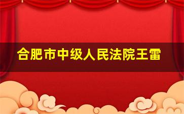 合肥市中级人民法院王雷