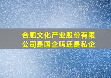 合肥文化产业股份有限公司是国企吗还是私企