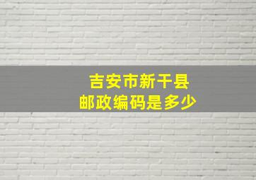 吉安市新干县邮政编码是多少