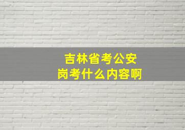 吉林省考公安岗考什么内容啊