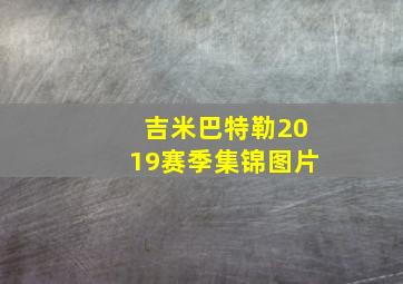 吉米巴特勒2019赛季集锦图片