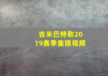 吉米巴特勒2019赛季集锦视频