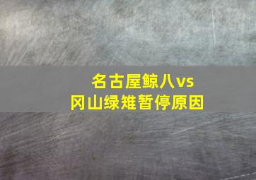 名古屋鲸八vs冈山绿雉暂停原因