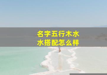 名字五行木水水搭配怎么样