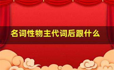 名词性物主代词后跟什么