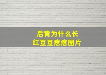 后背为什么长红豆豆疙瘩图片