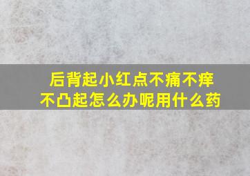 后背起小红点不痛不痒不凸起怎么办呢用什么药