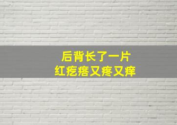 后背长了一片红疙瘩又疼又痒