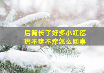 后背长了好多小红疙瘩不疼不痒怎么回事