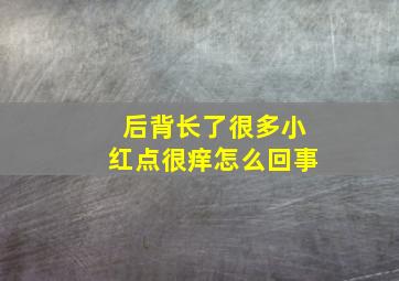 后背长了很多小红点很痒怎么回事