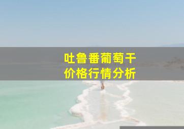 吐鲁番葡萄干价格行情分析