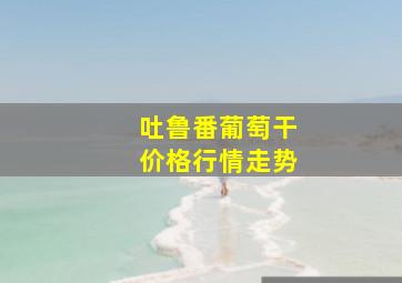 吐鲁番葡萄干价格行情走势