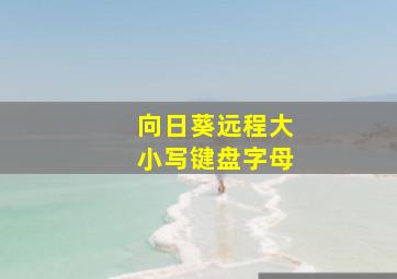 向日葵远程大小写键盘字母