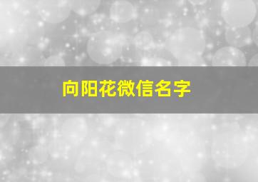 向阳花微信名字