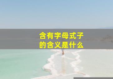 含有字母式子的含义是什么