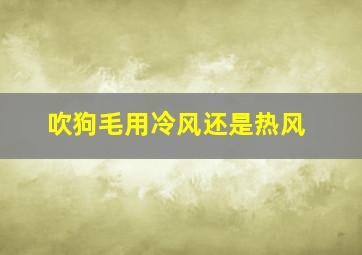 吹狗毛用冷风还是热风