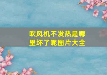 吹风机不发热是哪里坏了呢图片大全