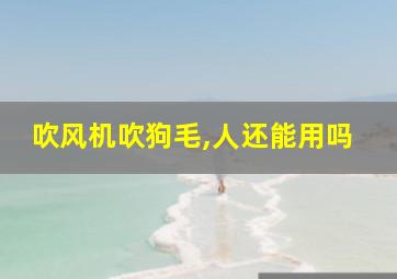 吹风机吹狗毛,人还能用吗